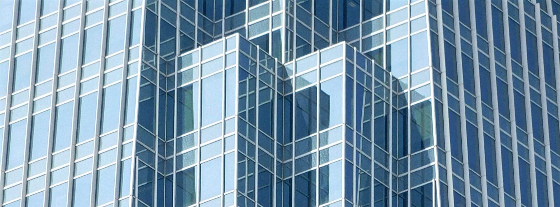 Construction services leader gains market confidence construction